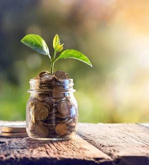 Imagen de una planta creciendo a raíz de unas monedas