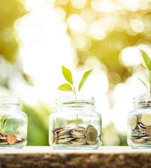 Imagen de una planta que crece en monedas en el tarro de cristal. Aumento de la cantidad de efectivo, inicio, concepto de crecimiento monetario.