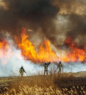 ¿Cubren los seguros de hogar las catástrofes naturales? | Blog Allianz