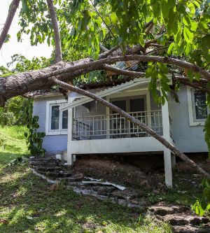 ¿El seguro de hogar cubre daños por viento? | Blog Allianz