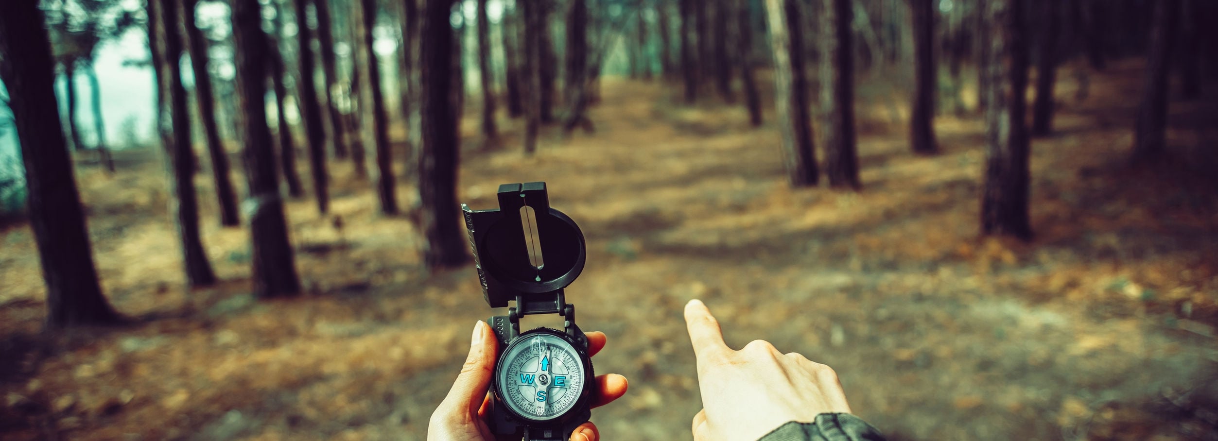 Imagen de caminante que busca la dirección con una brújula en el bosque