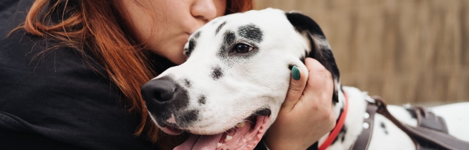 Imagen de una mujer feliz besando a su perro dálmata durante un paseo urbano por la ciudad. Concepto de amistad, amor y cuidado.