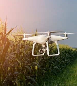 Imagen de un dron sobrevolando el cesped