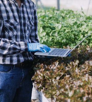 Imagen de un agricultora trabajando temprano en la granja sosteniendo una cesta de madera de verduras frescas y tabletas