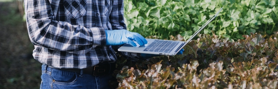 Imagen de un agricultora trabajando temprano en la granja sosteniendo una cesta de madera de verduras frescas y tabletas