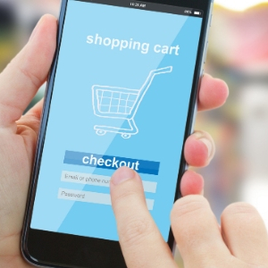 Imagen de una persona comprando en comercio online