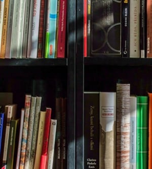 Imagen de una estantería con libros