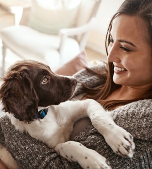 Imagen de cachorro feliz y mujer en casa en un sofá de la sala de estar con vínculos animales con cuidado mascota amor perro y persona con felicidad en casa con una sonrisa de perros en un sofá del salón juntos sintiéndose tranquilos