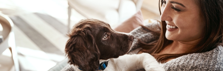 Imagen de cachorro feliz y mujer en casa en un sofá de la sala de estar con vínculos animales con cuidado mascota amor perro y persona con felicidad en casa con una sonrisa de perros en un sofá del salón juntos sintiéndose tranquilos