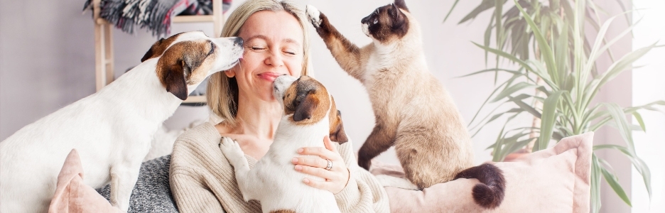 Imagen de una mujer jugando con sus perros y gatos en el salón de su casa