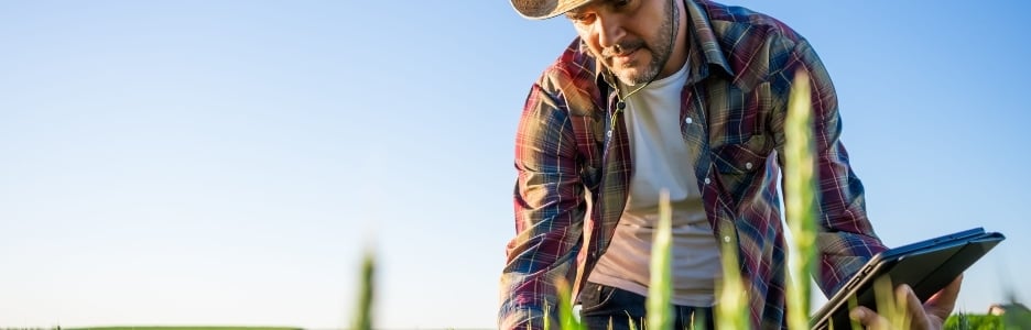 Imagen de un hombre cultivando cebada en su tierra y está examinando el progreso de los cultivos