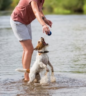 Imagen de persona jugando con su perro
