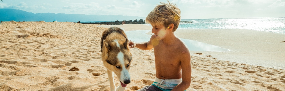 Foto de un niño y un perro jugando en la playa