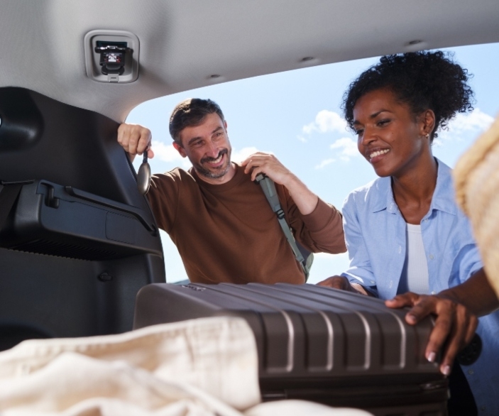 useful description of image if informative and not decoration only.