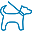  Visita veterinaria general gratuita